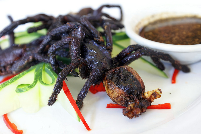  <!--noindex--><a href="https://pikabu.ru/story/pugayushchie_lakomstva_top_samyikh_shokiruyushchikh_delikatesov_mira_12859697?u=http%3A%2F%2FPhinemo.com&t=Phinemo.com&h=199dc315afbc1e477d76d585d322c4c12f3b08dd" title="http://Phinemo.com" target="_blank" rel="nofollow noopener">Phinemo.com</a><!--/noindex--> |   