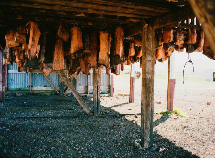  Chris Wronski Flickr |   ""