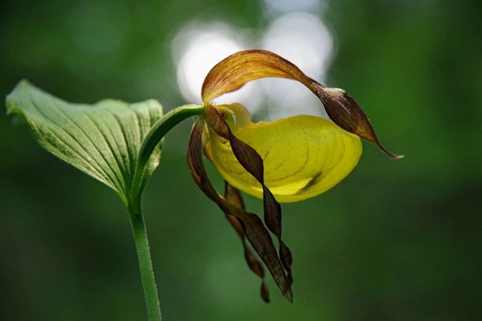 Фото О. Калининой.