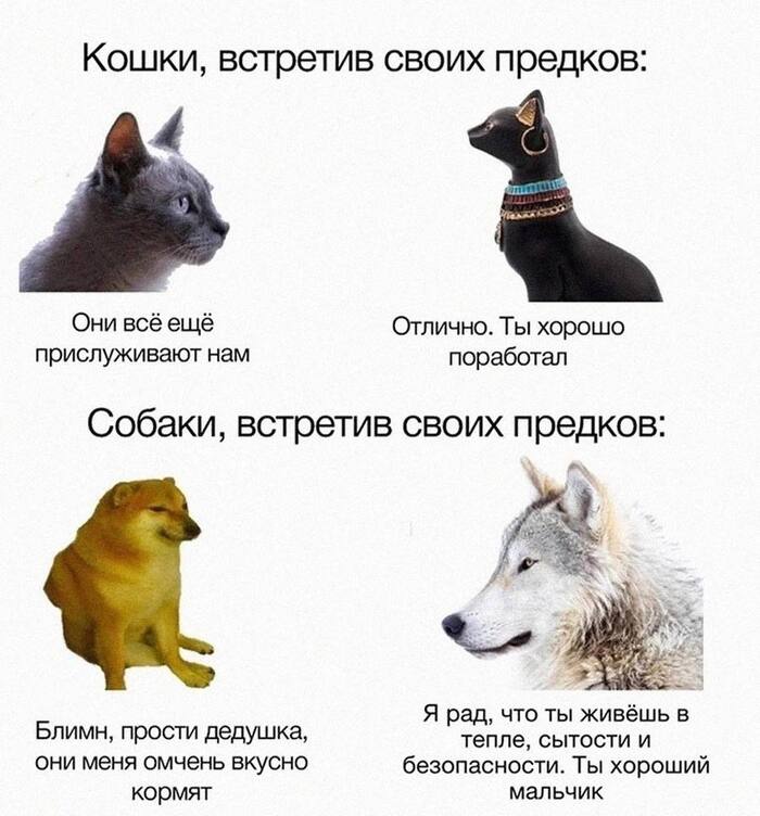   :  ,  !!! ,   , , , , , , 