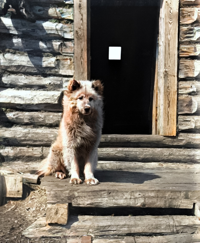 ��������: ������� �. �.