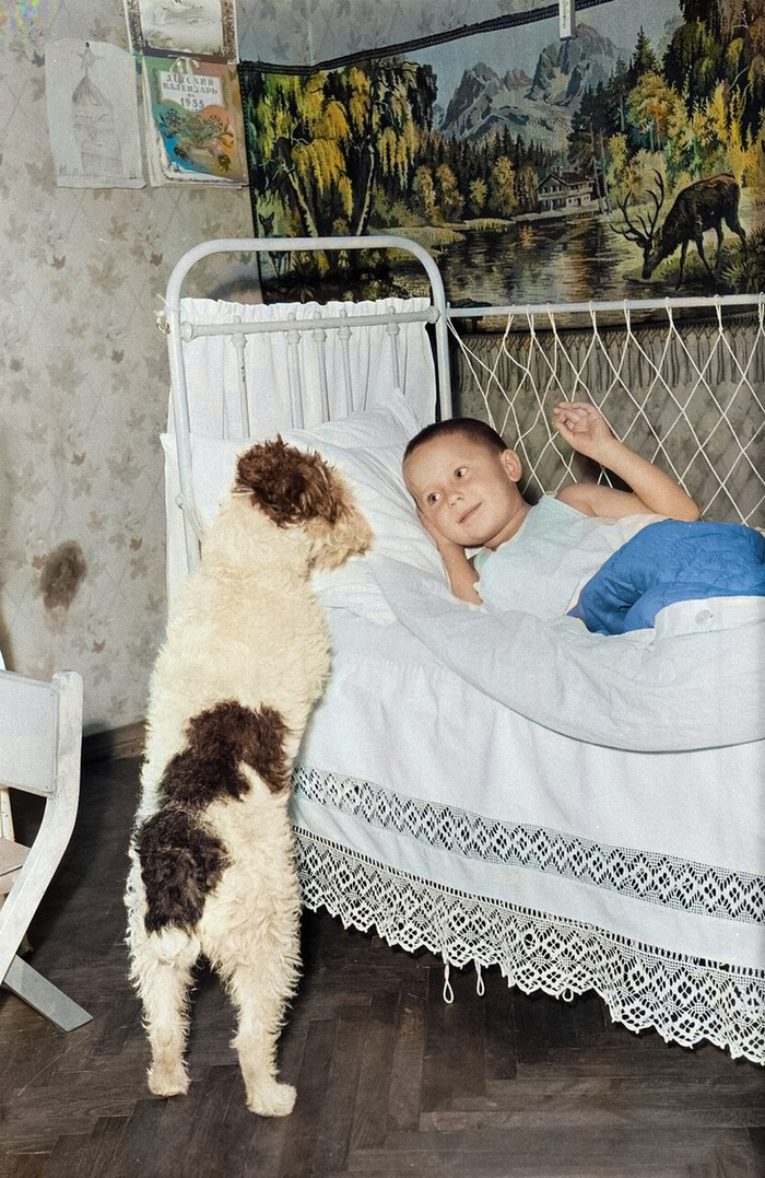 ��������: ����� ��������