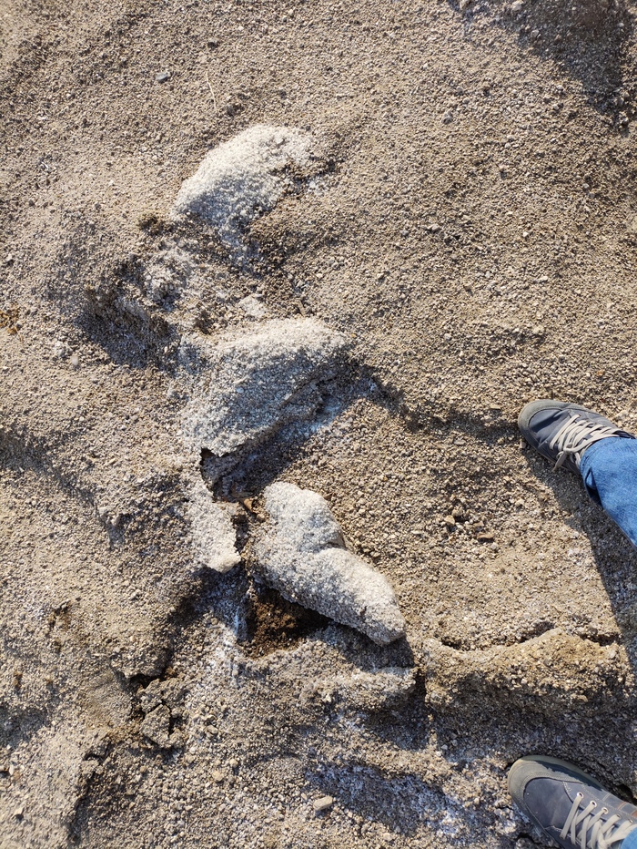 Вот ещё какое-то проявление кальцита возможно, ещё не определял, что это. Какая-то мелкокристаллическая структура.