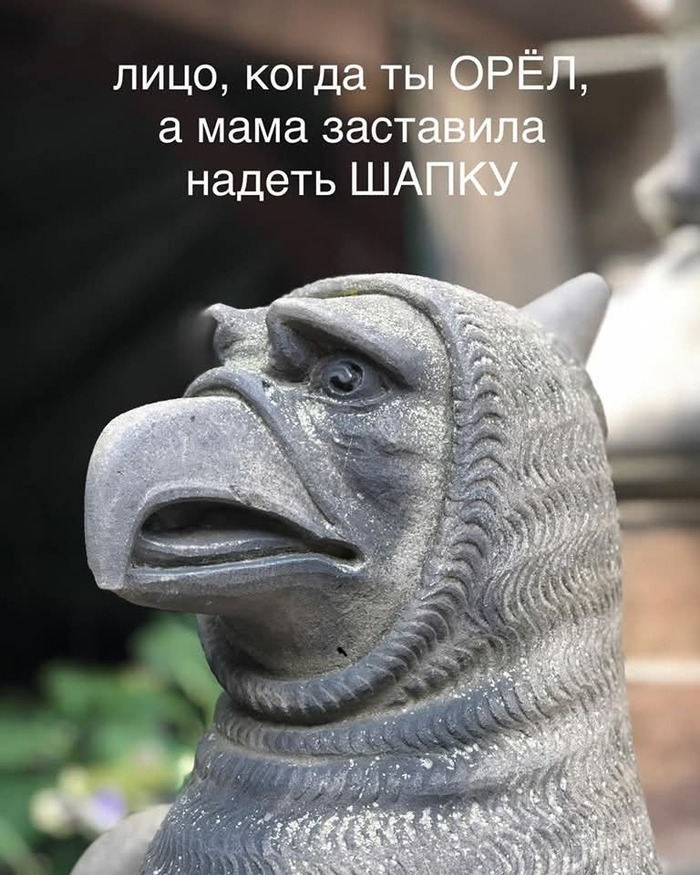     ,  , ,   , 