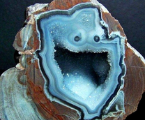 �����, ��������