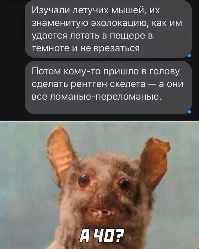   , ,   ,  , Telegram (), , 