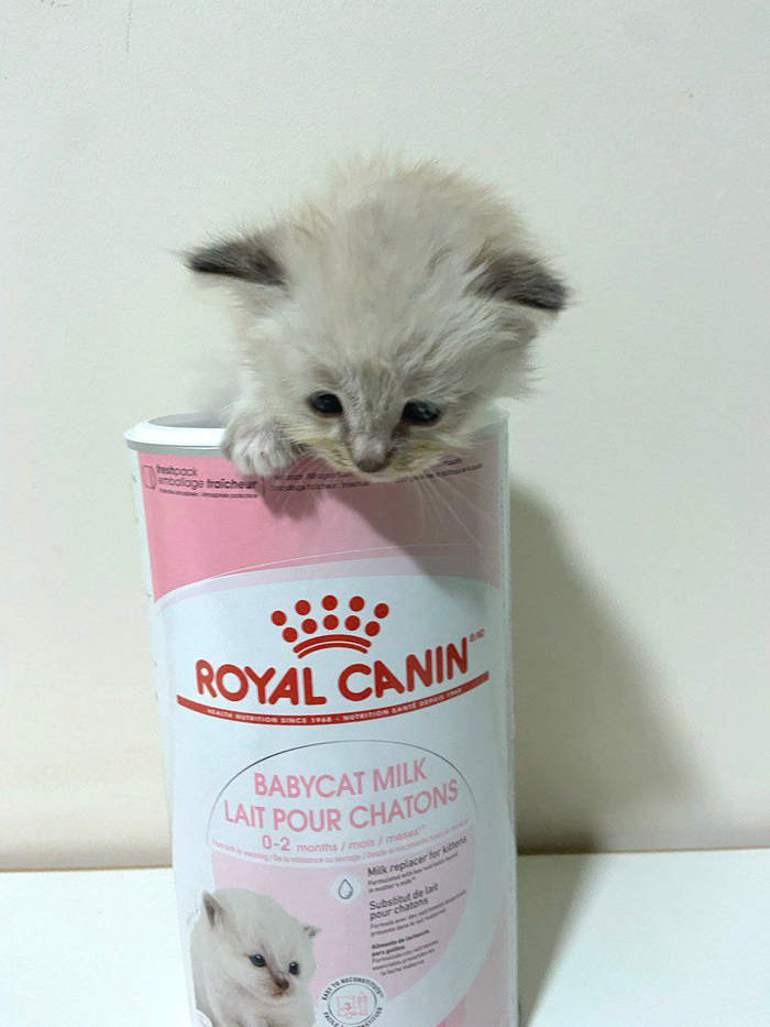 �������� �������)