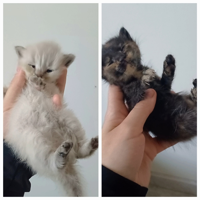 ����� �����, ������. ����������� ������� ��� ��� ����, �� ��� ����� �� ���������...