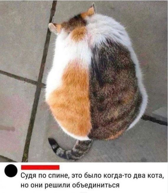 ,    ,  ,  , , ,  , 