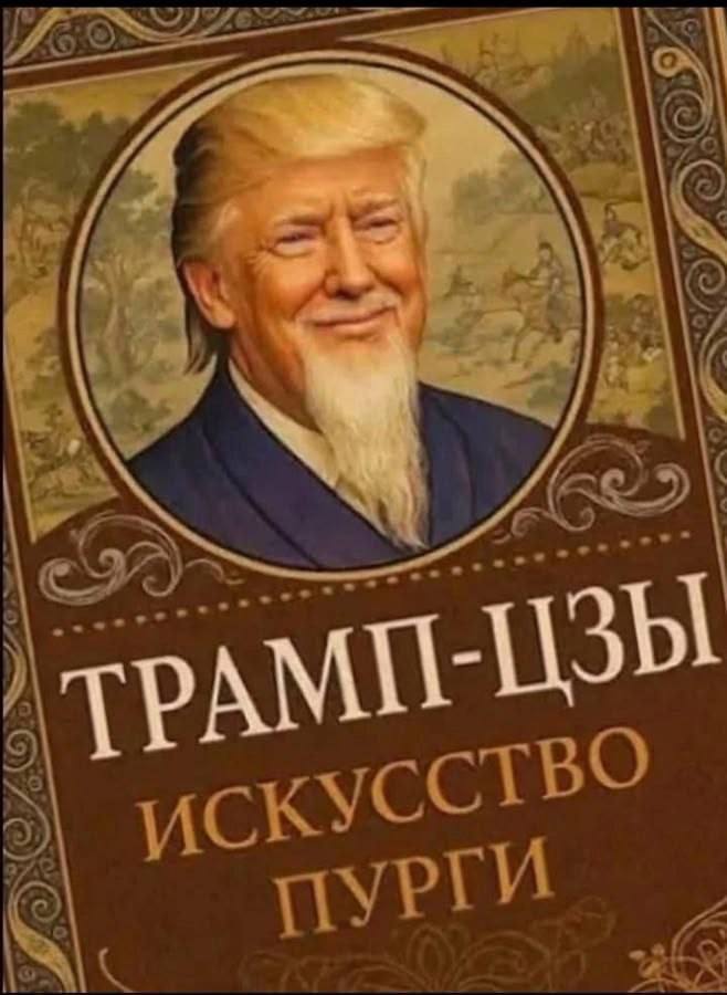     , , ,  , , , , ,  