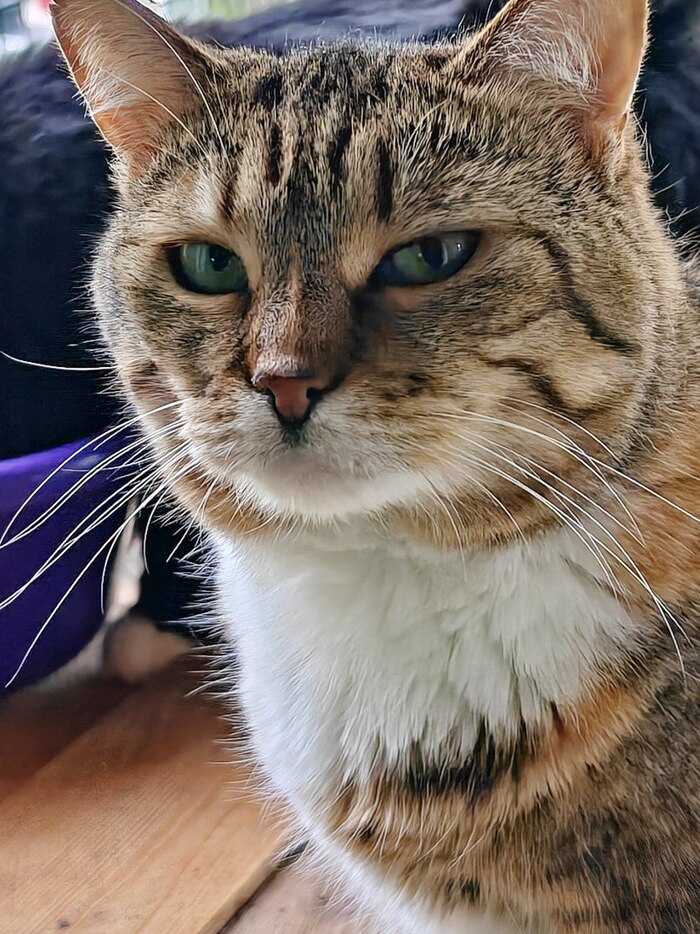 ����� �����������?