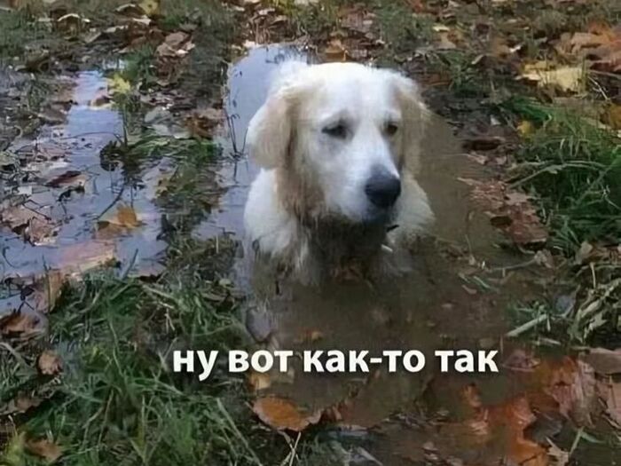  ! , ,  , , , 