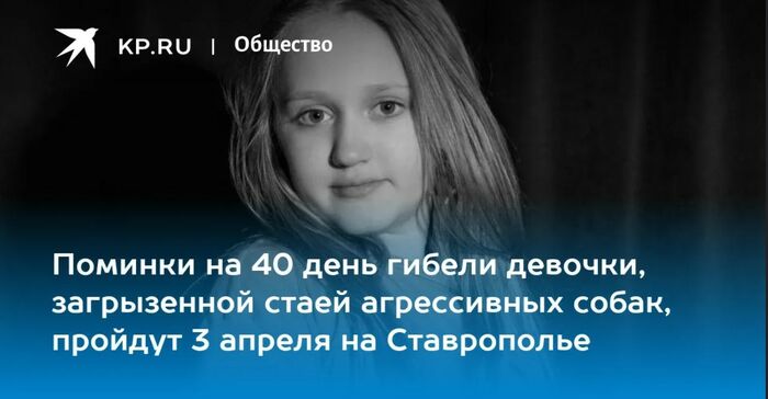 Вероника 9 лет, г. Ставрополь, 23 февраля 2025г. загрызли собаки.