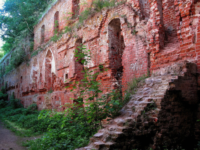 � TRAVEL 24 PRO. ����� ����� ������, ��������������� �������