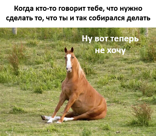  ,   , , , Telegram ()
