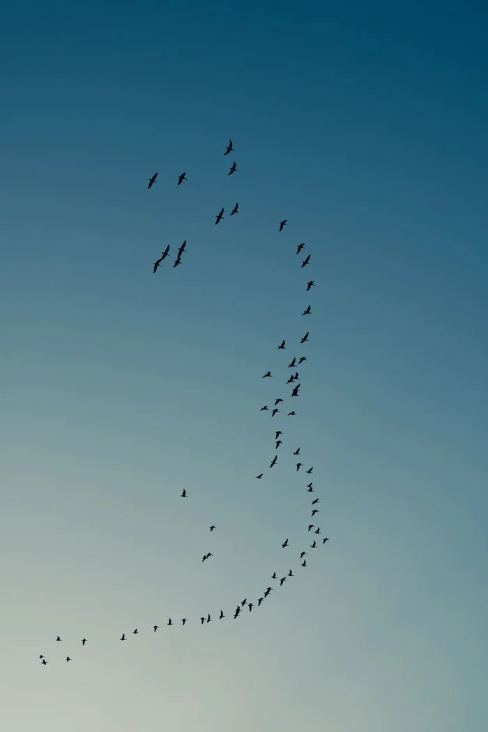 Если вы никогда не были на рыбалке Истории из жизни, Рыбалка, Кольский полуостров, Авторский рассказ, Проза, Рыбаки, Длиннопост