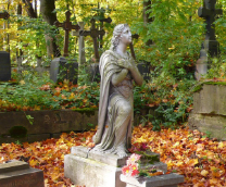 ���������� �������� �����-����������. 