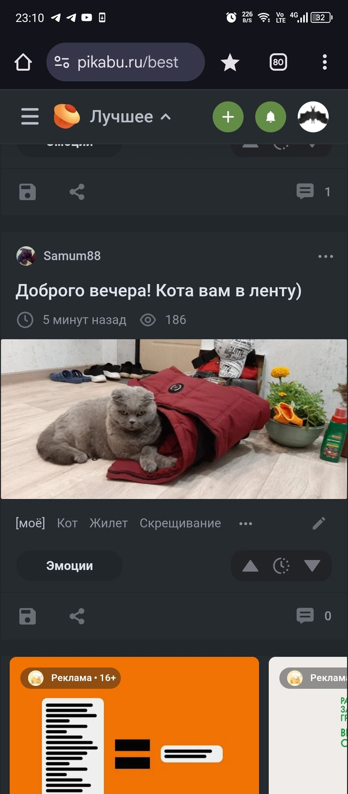 Я прошел "Пикабу"