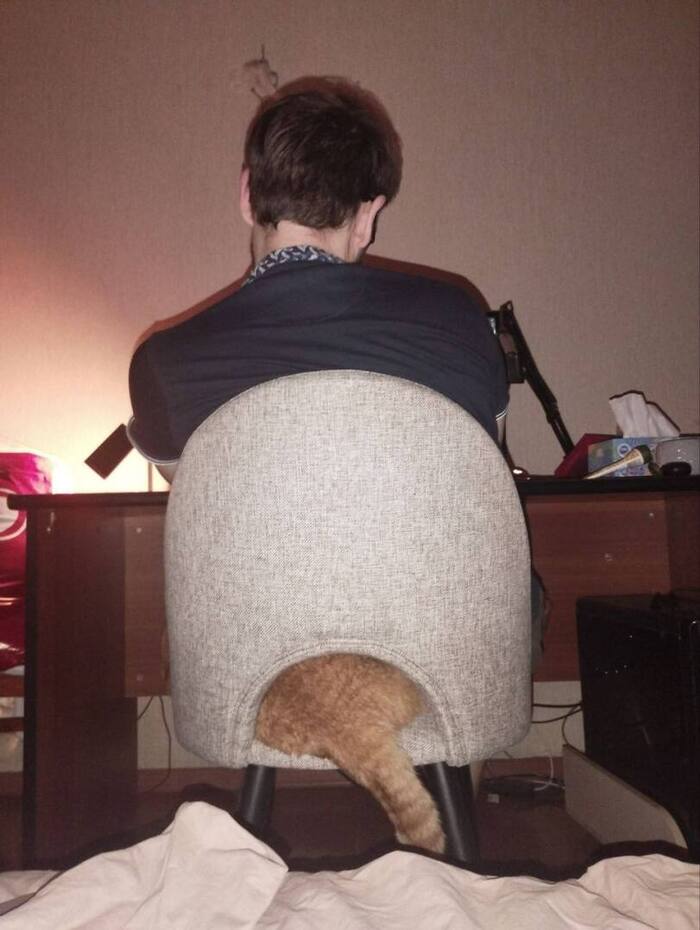     ,    , , 