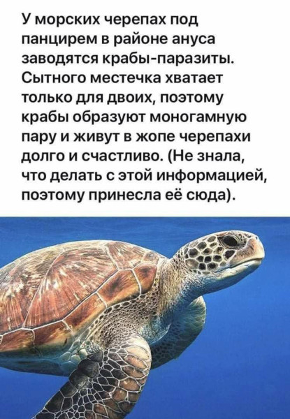    ,   , , , , , , 