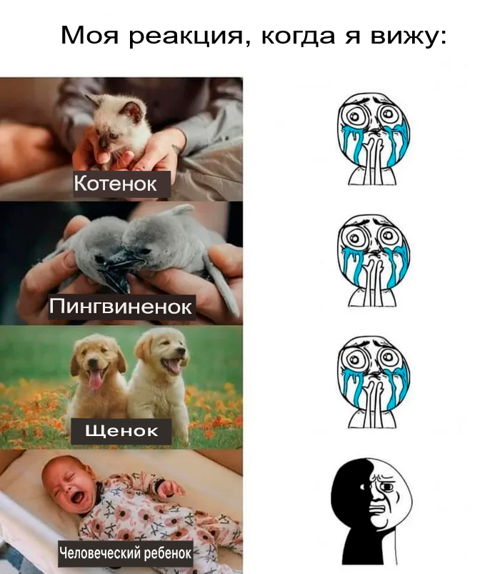 Будем честны