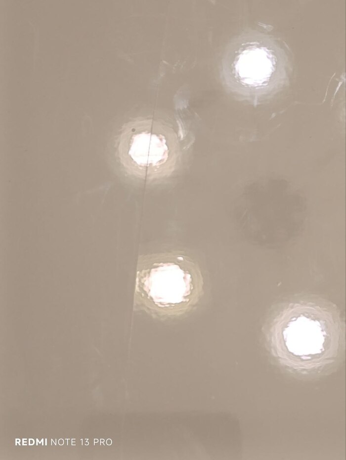    , ,  ,  , 