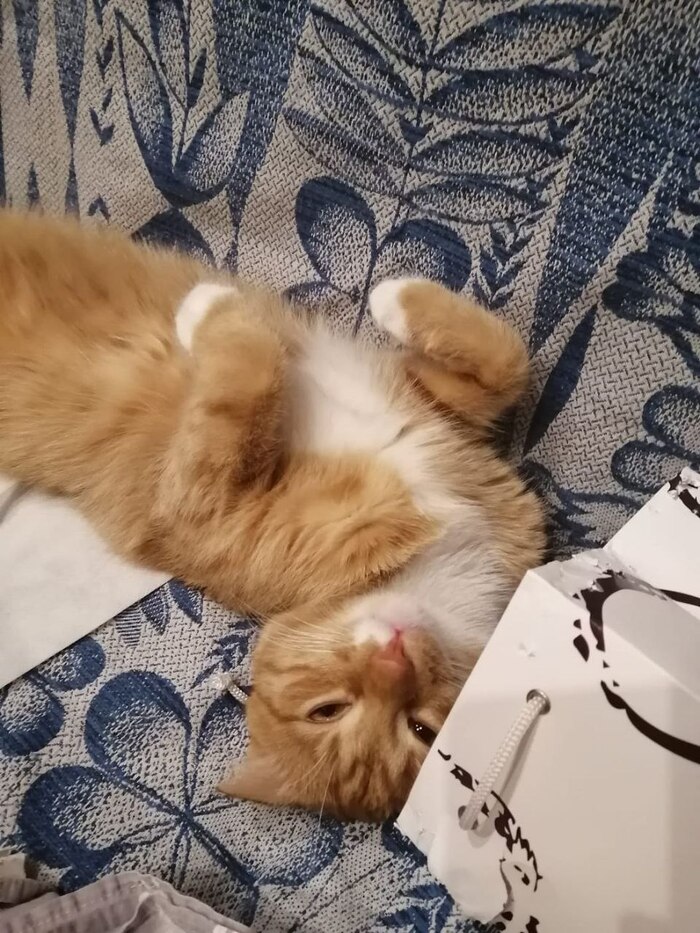 Спокойной ночи