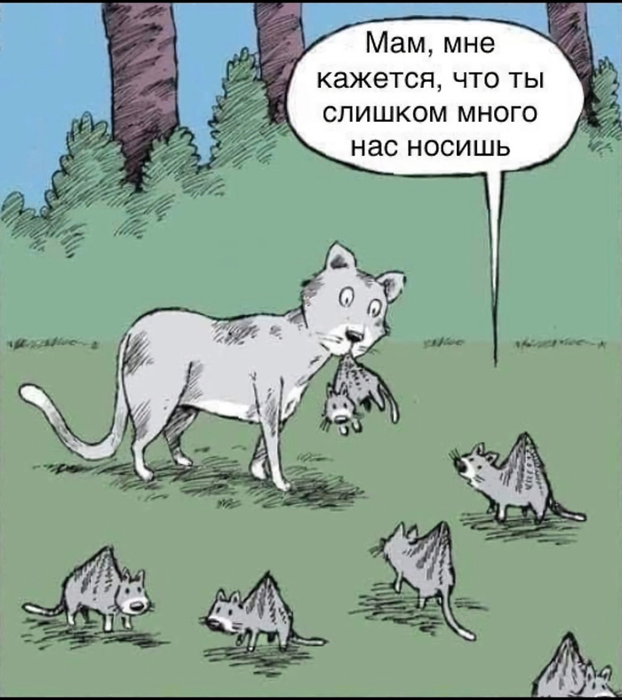  !  , , -, 