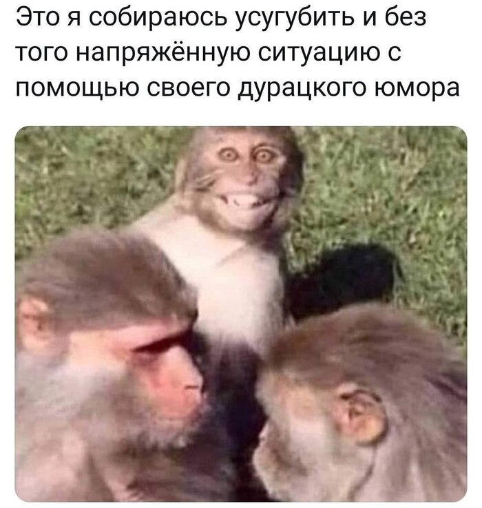      ,   ,  , , 