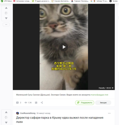 ����������� � �����������