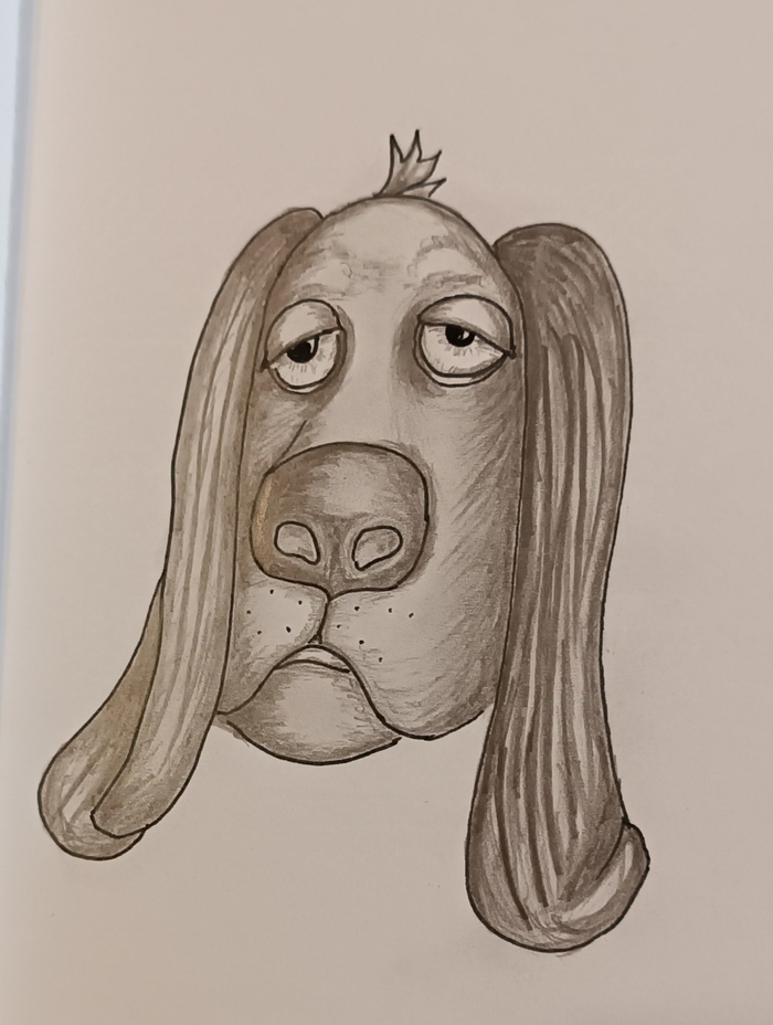  ...  , ,  , 