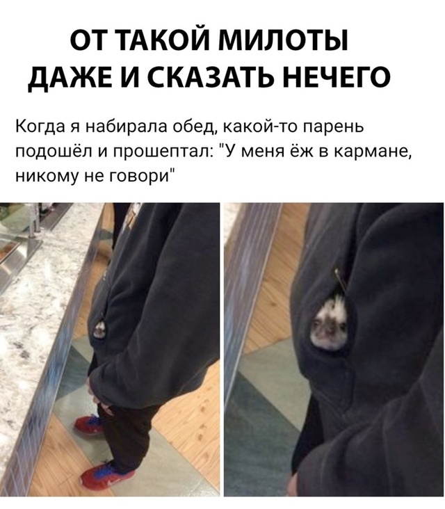 Нечего