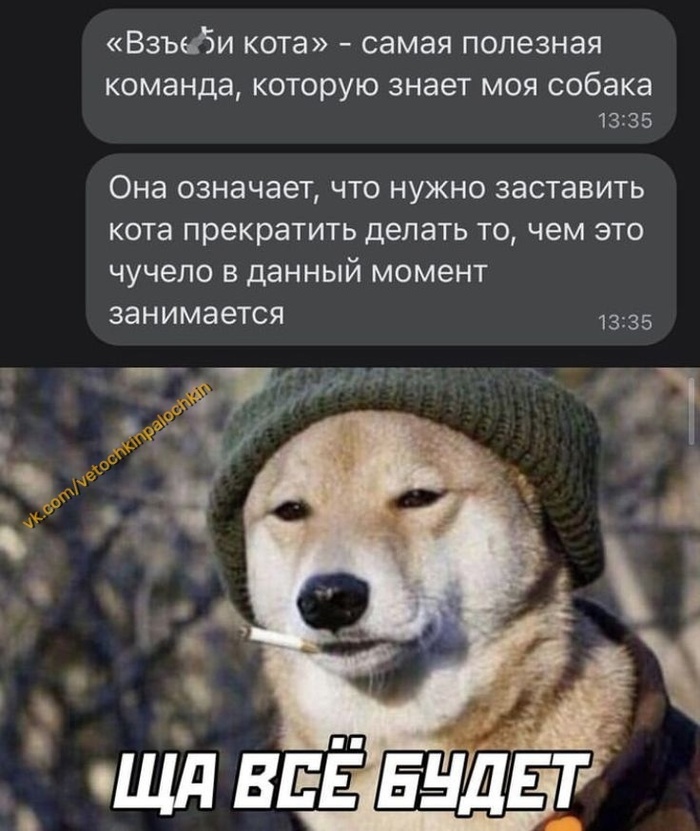 #  ,  (), ,   , , , ,  , 