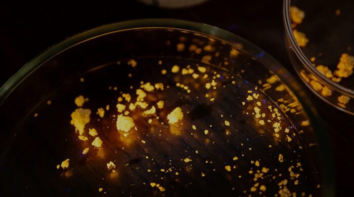 ����� ��������� �������� �� ������� ��� ��������� ��� ������������������� �����������