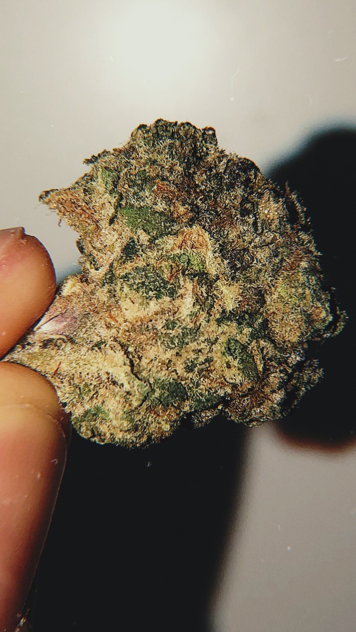 ���� ��� �����������