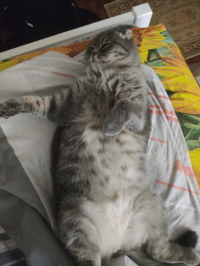        ,       : , ,  ,  ,   , 