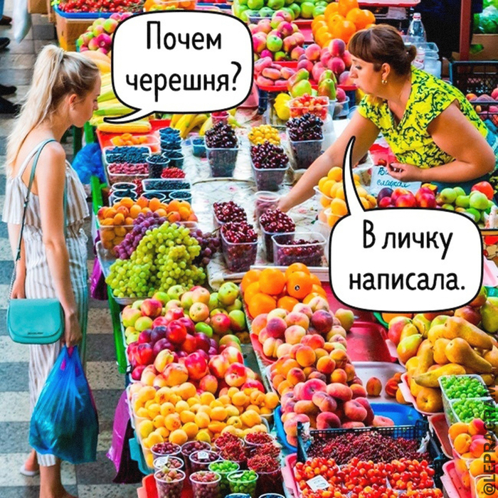    #13 ,   , , , , 