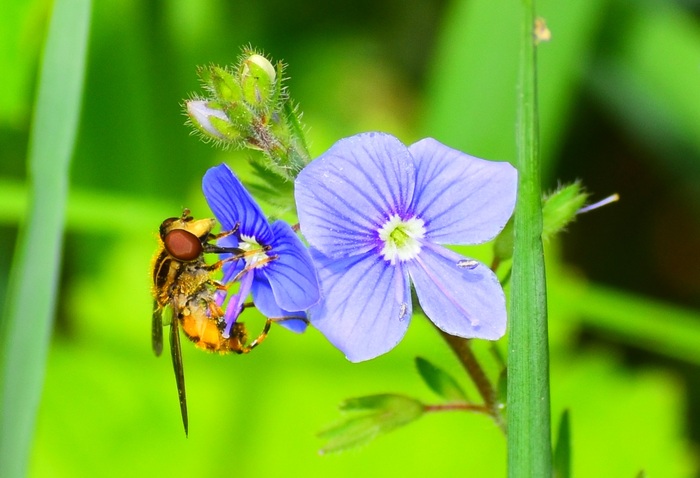 ...и еще одна