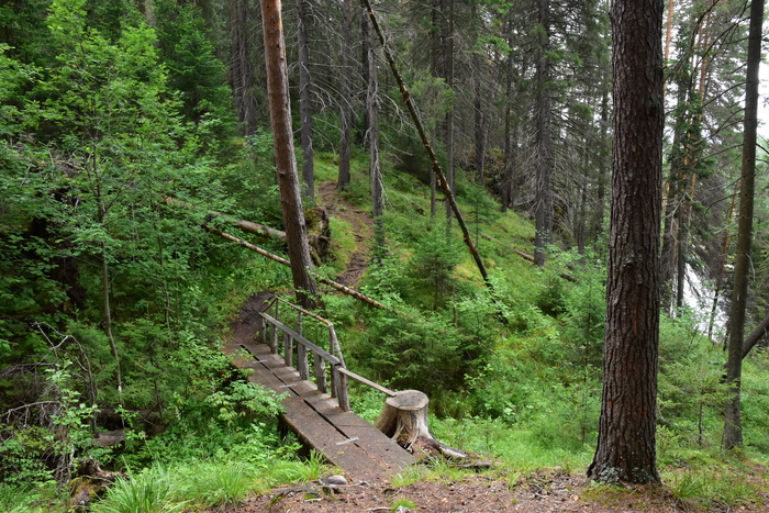 Живописный путь