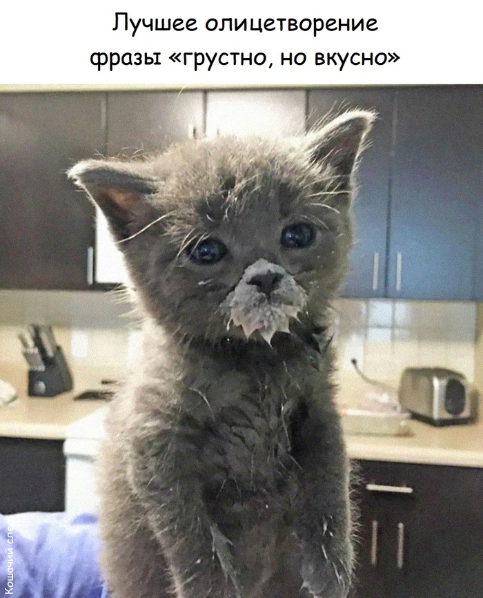 ,   ,  ,   , ,  ()