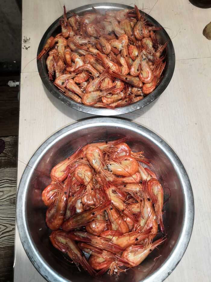 Чилимы (креветки) свежепойманные