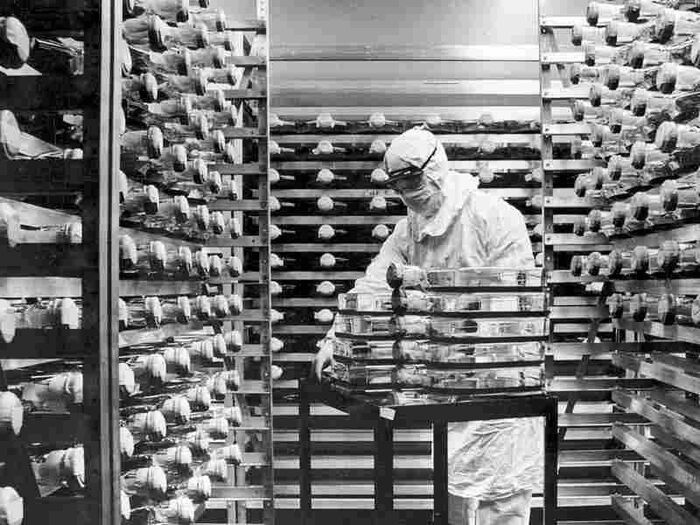          Pfizer, , 1963 