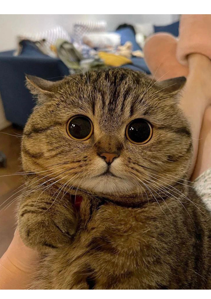  , ,  