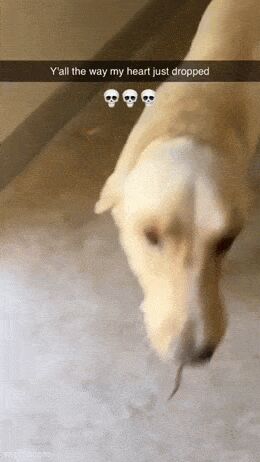   , , , 