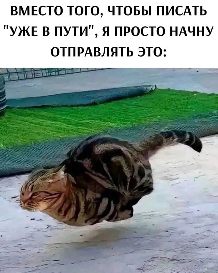     , , , ,   , Telegram ()