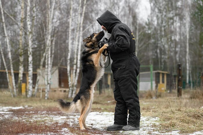 � ����� ����� ������ ���������� � ������ ������� � ���, ��� � �������� ��� .. �������� ���� ����� �������� 🥰