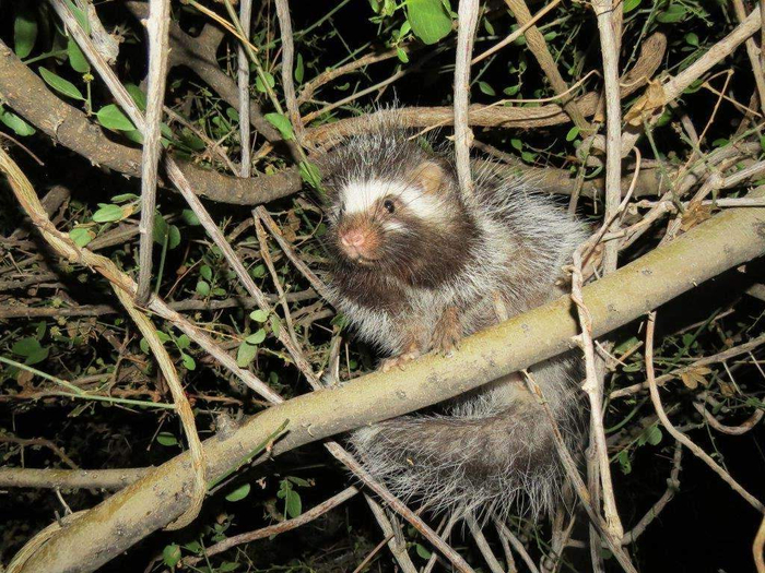 , ,    ? , ,  ,     !