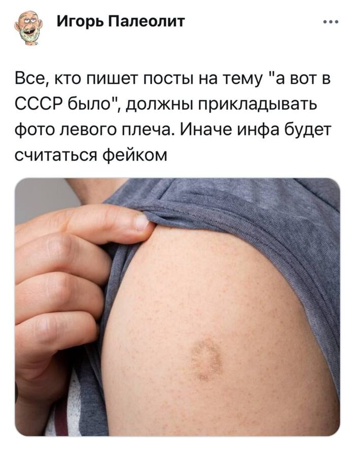  100% , , , , Telegram (), 