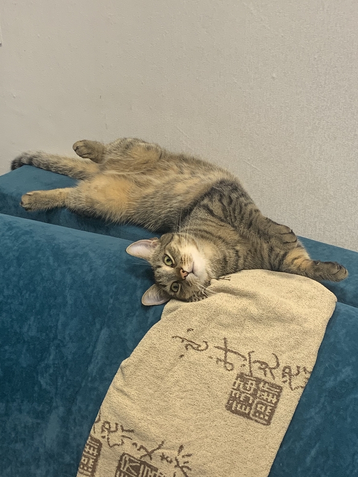        , , , , ,  , ,   , 
