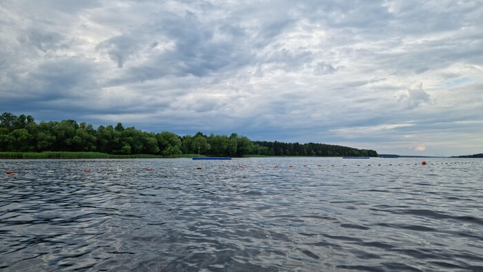 Ну вот и ответ. Табличка говорит: “Рыбное хозяйство”. И правда, за ограждением видны синие садки.